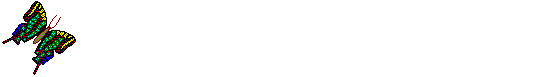 butterflybig.gif (6030 bytes)