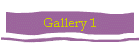 Gallery 1